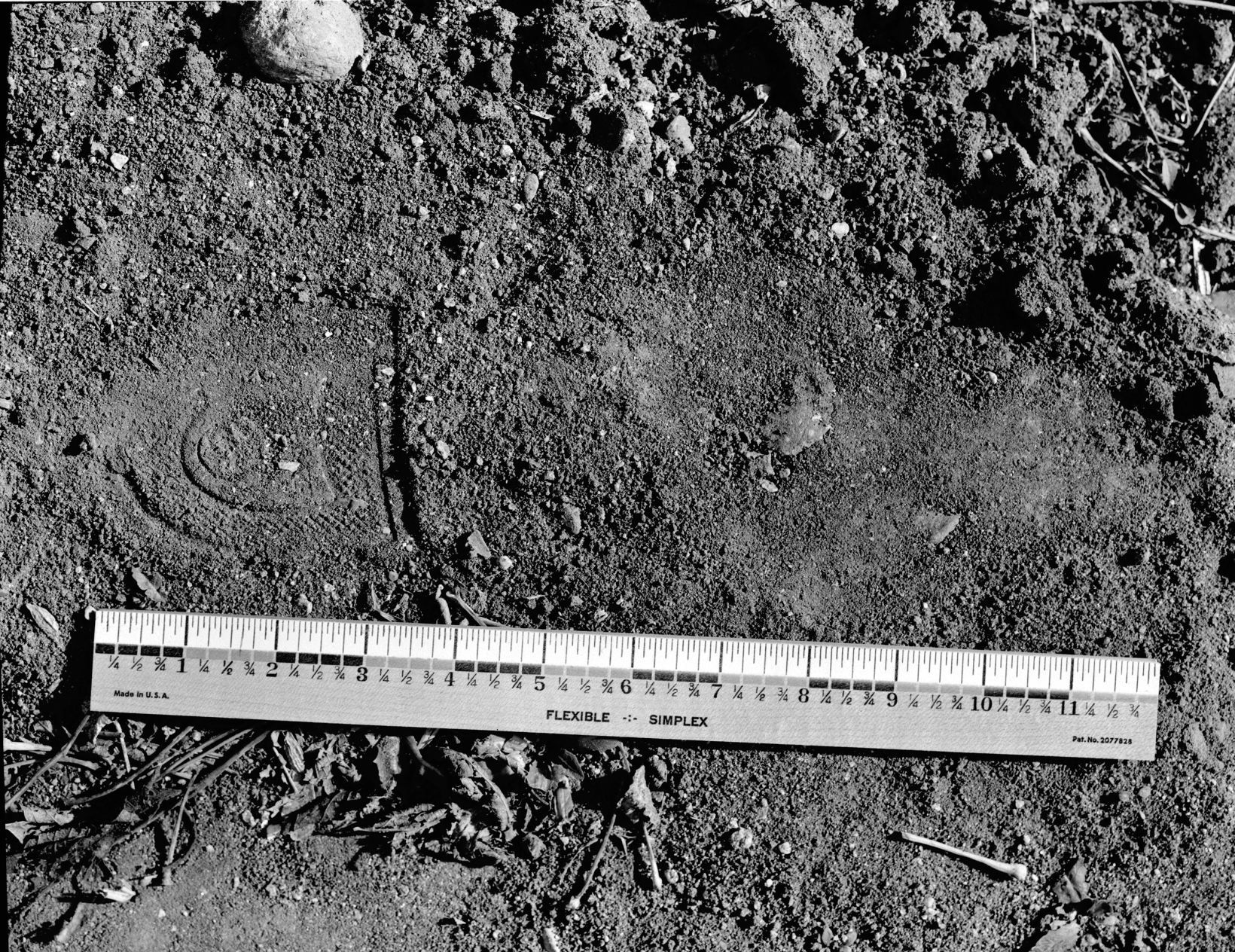 Thornton robbery footprint